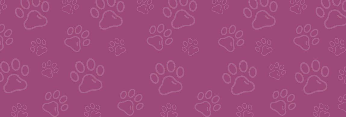 1231 - Background design for Woodcroft Vets Website