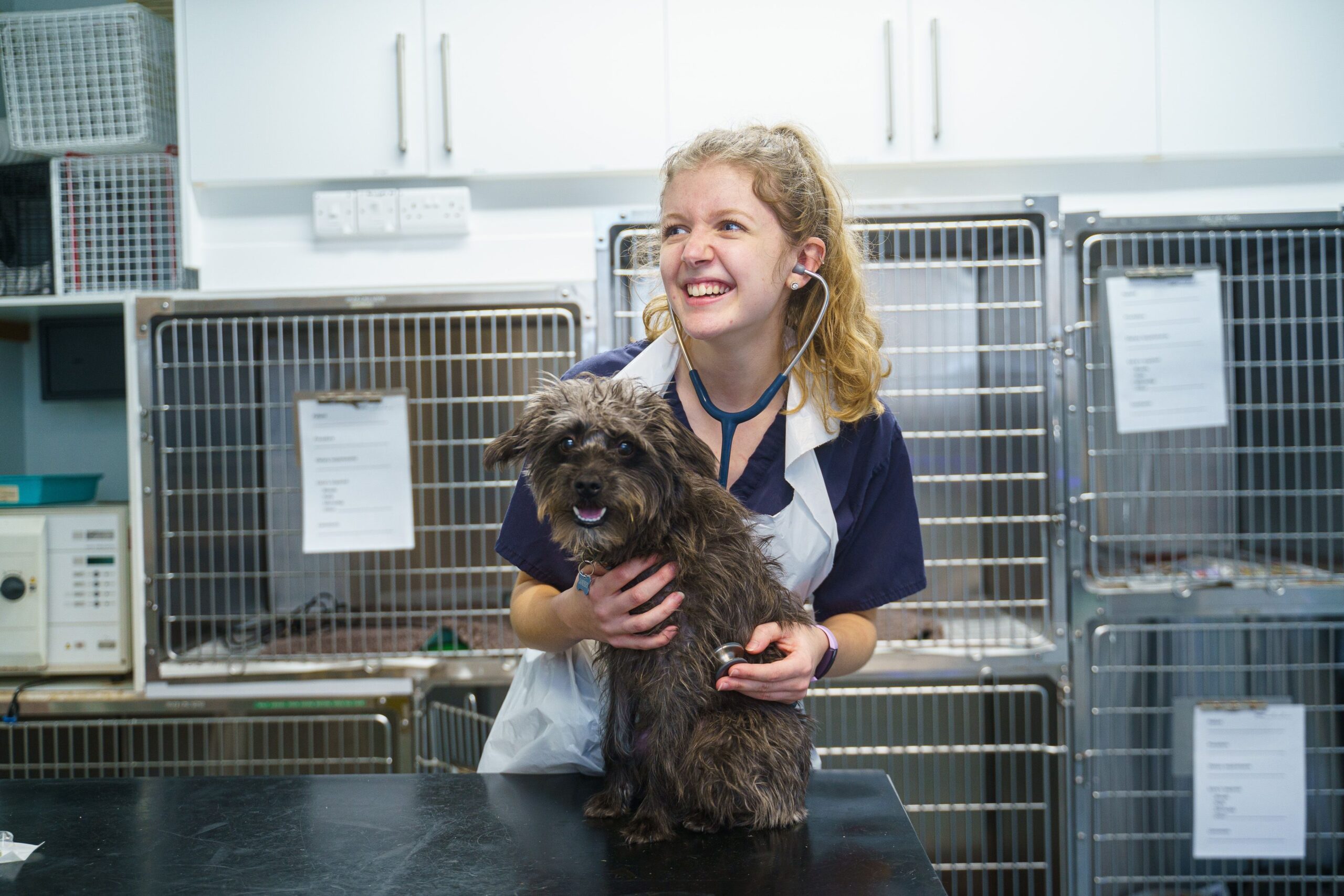veterinary-practices-062e254ab5ee11